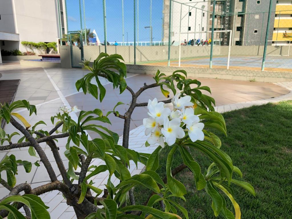 Apartamento - Edf. Duna Barcane Natal Exterior foto